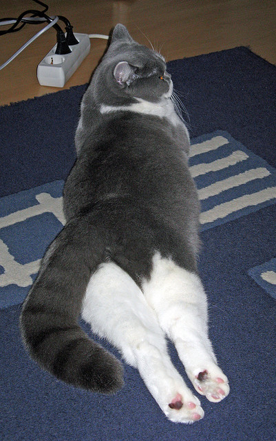 阿圭罗附体!平行时空的巴萨绝杀奥地利