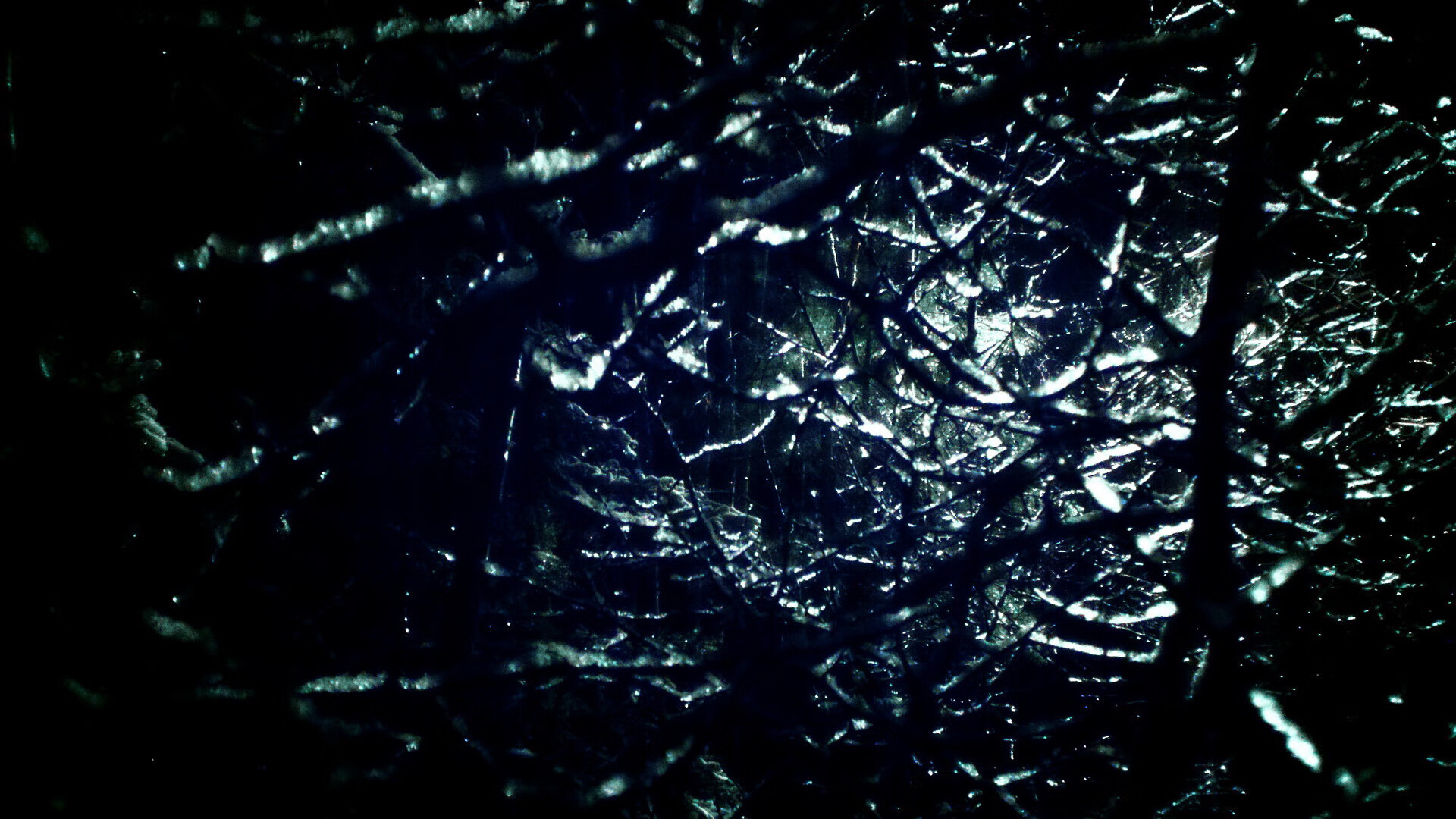 跨界荣耀,马龙挂帅德国乒团,强势横扫波兰队