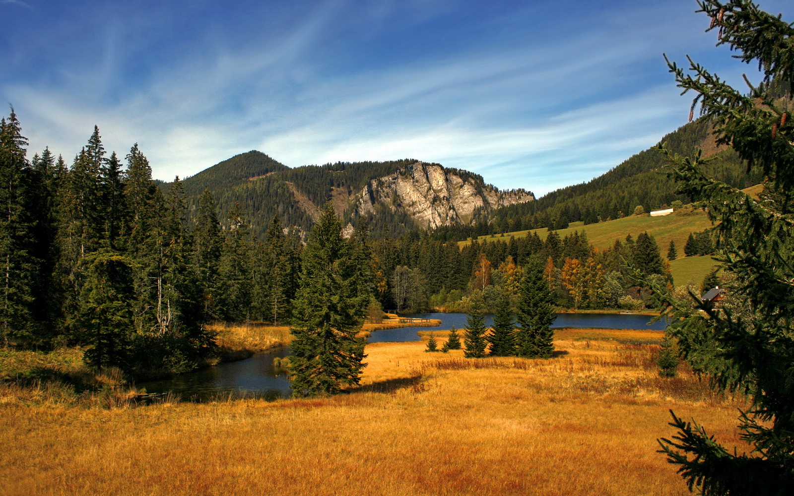 险胜与超越,当利拉德时间遇上约基奇之夜