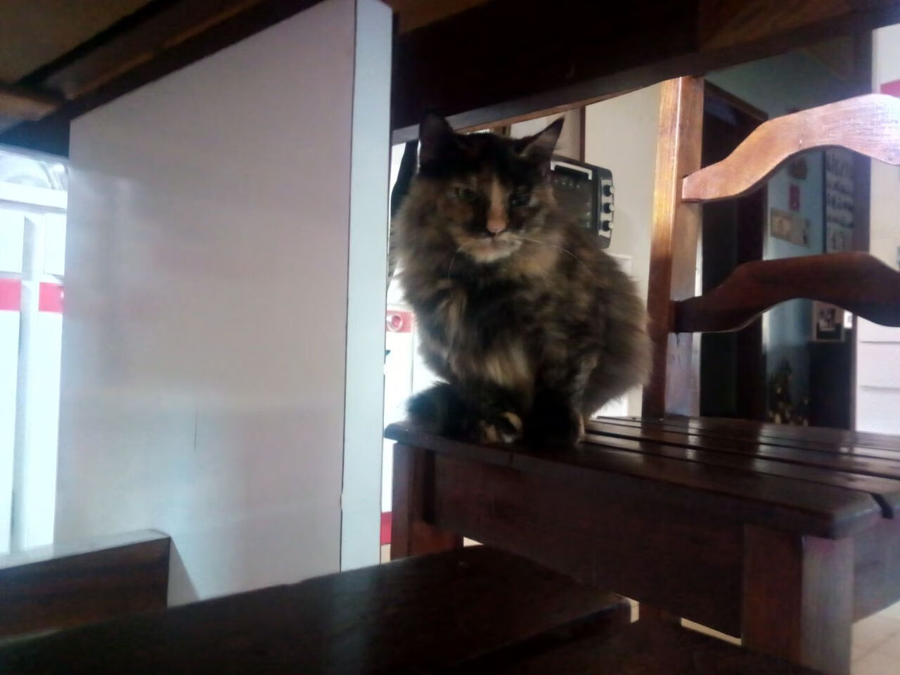 冰与火之歌,印尼队冷峻完胜与马琳点燃的赛场灵魂