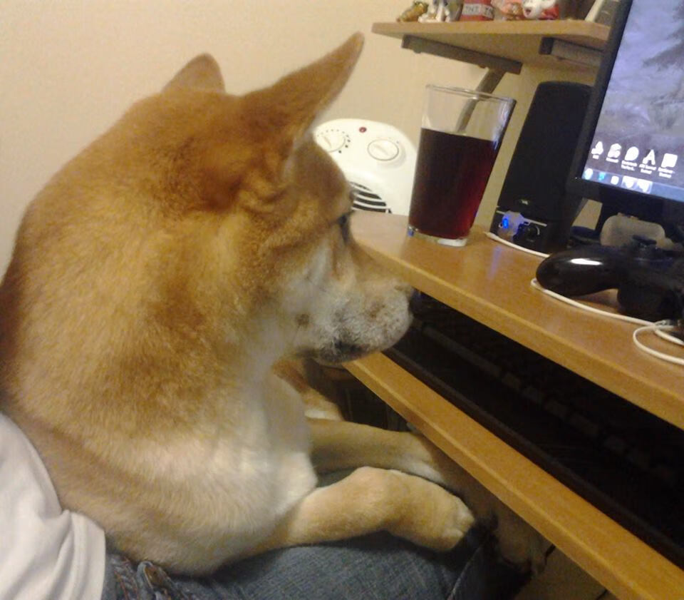 福登vs安哥拉，一场属于双面奇迹的胜利夜