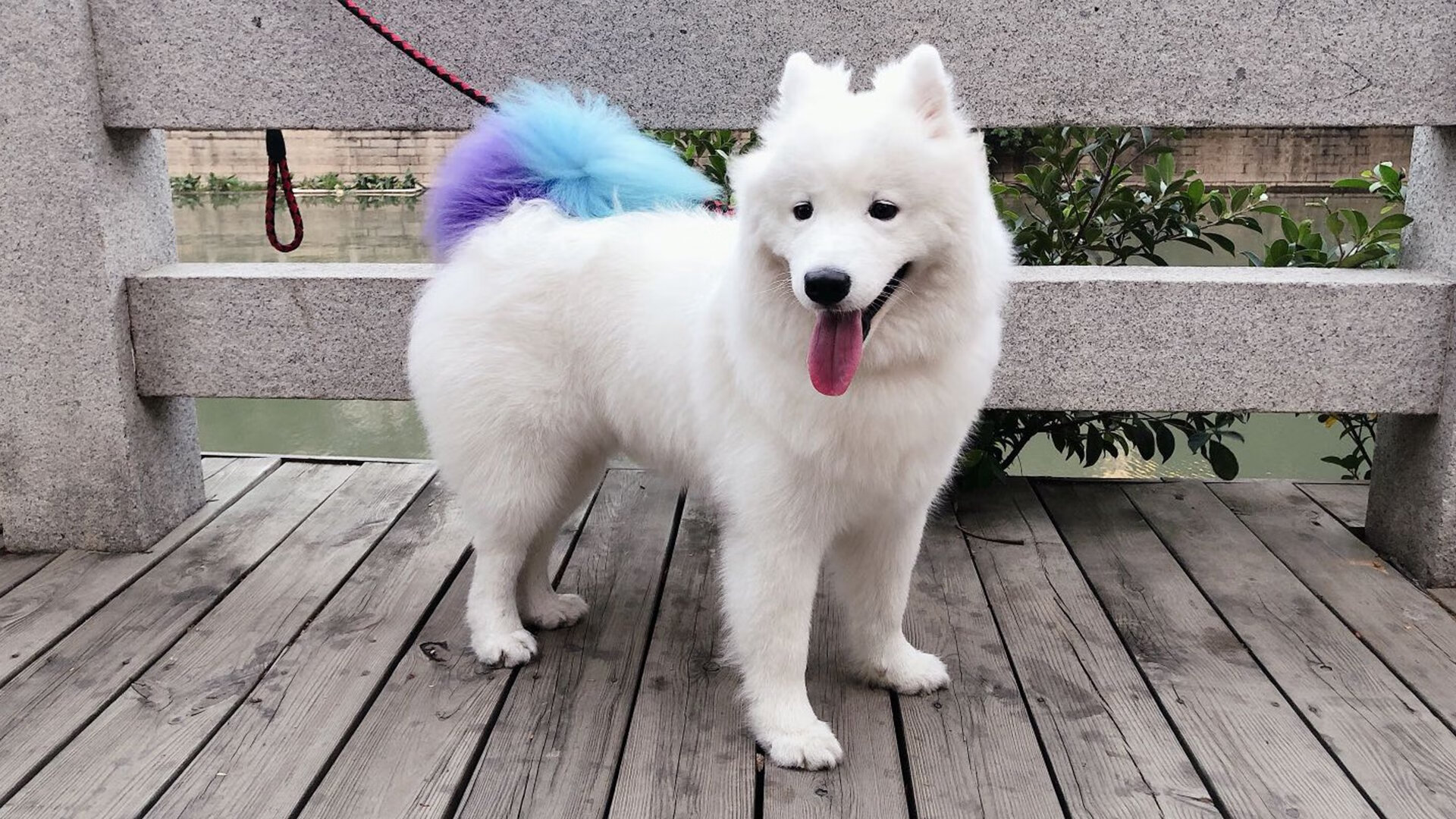 历史唯一！辽宁队跨时空激战绿军，伦纳德狂飙50分完美压制郭艾伦