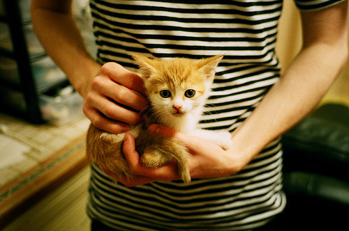 15助攻0失误！39岁詹姆斯诠释节奏大师，单节16分差打崩活塞