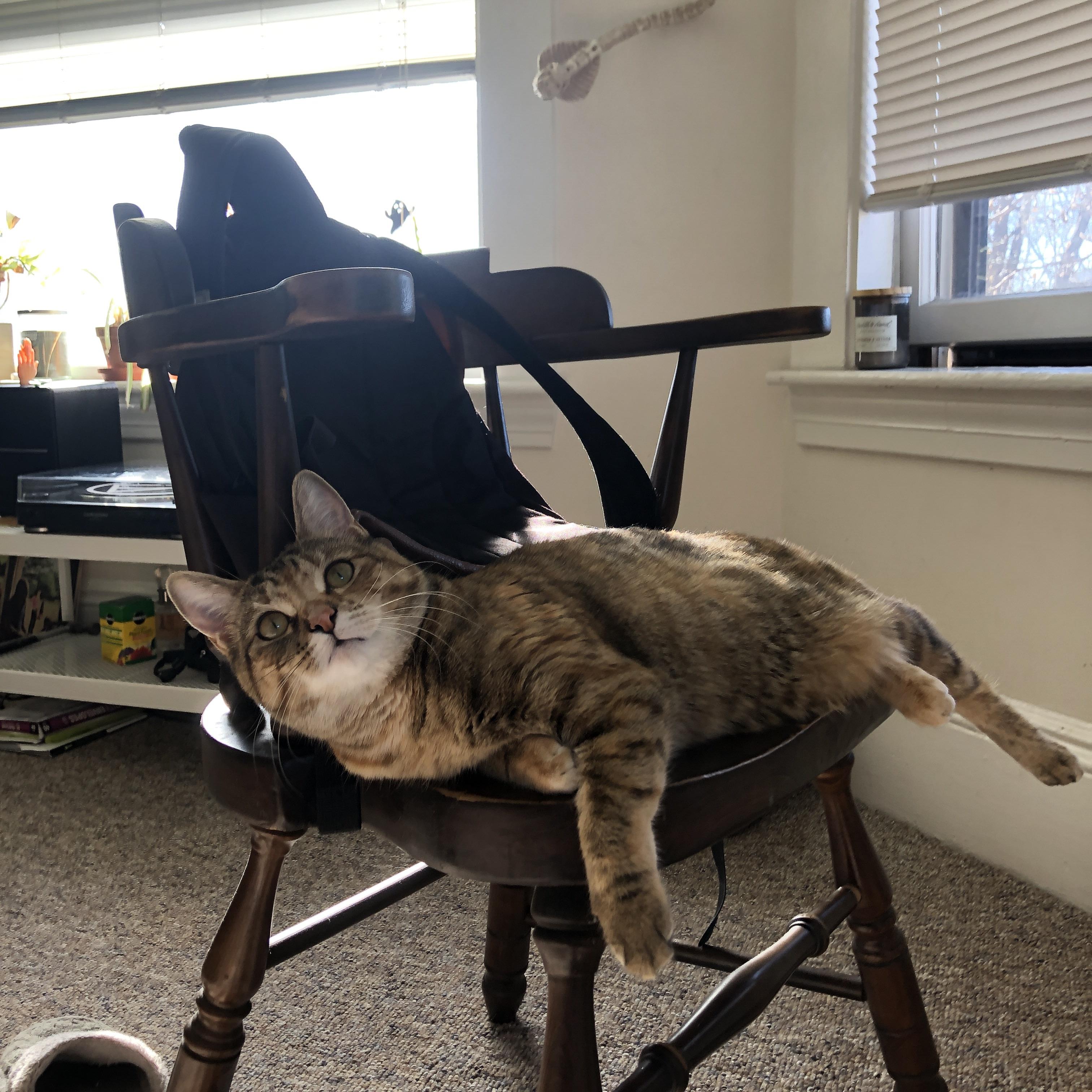 布伦森主宰比赛走向，湖人队狂胜广东队迎跨联盟对决胜利