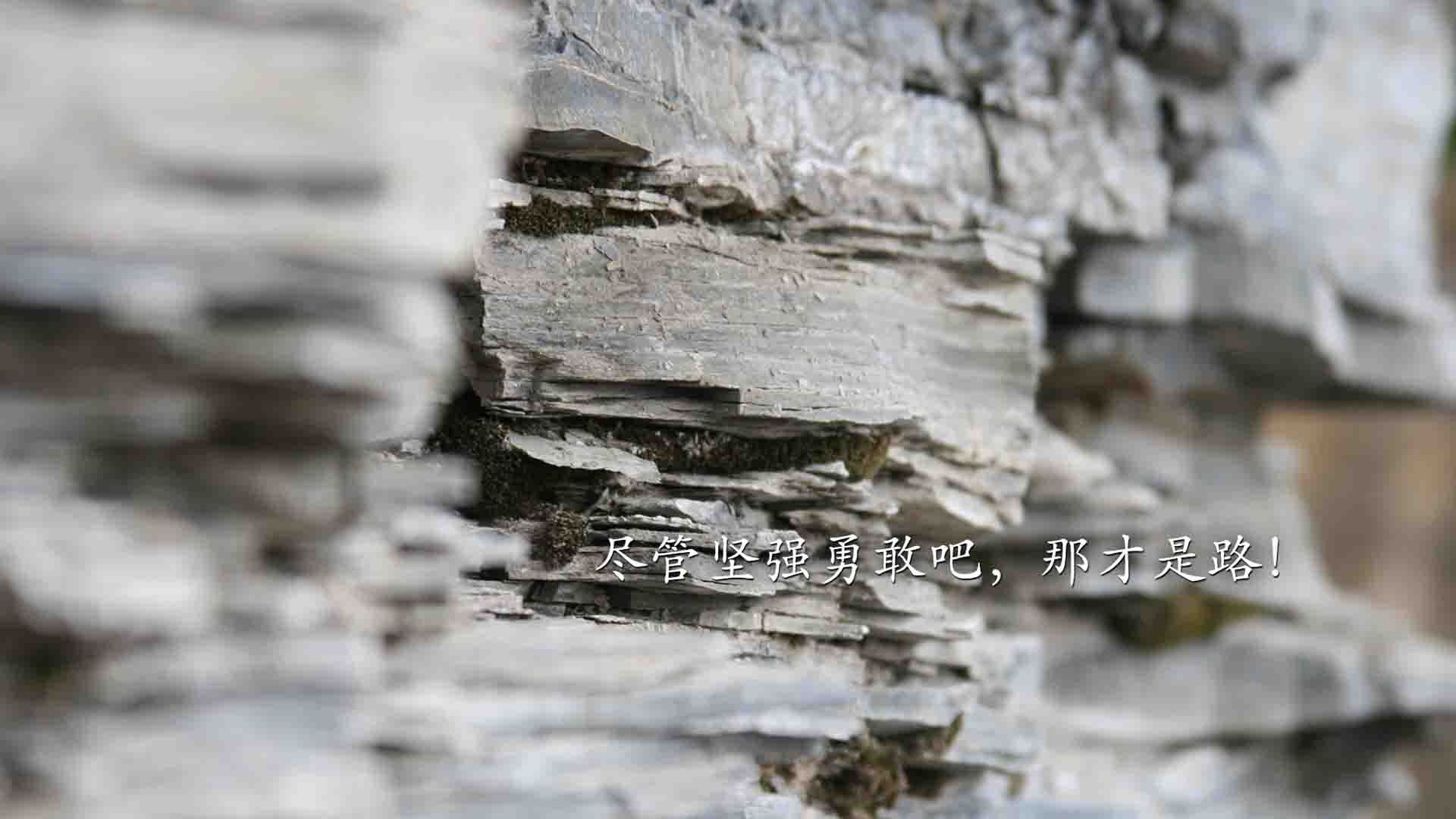 超越纪录的夜晚，当个人荣耀遇见国家血性