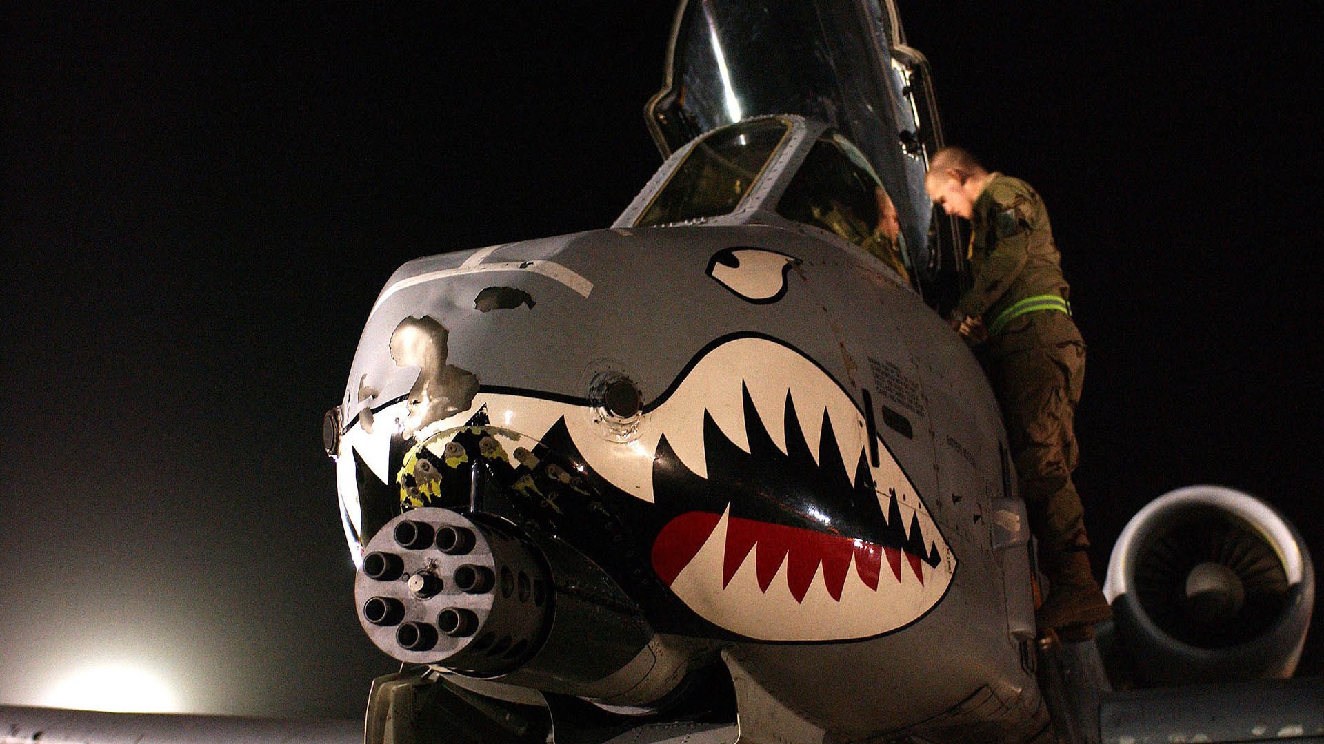 冷门与纪录之夜，几内亚斩落郁金香，帕尔默刷新英超新章