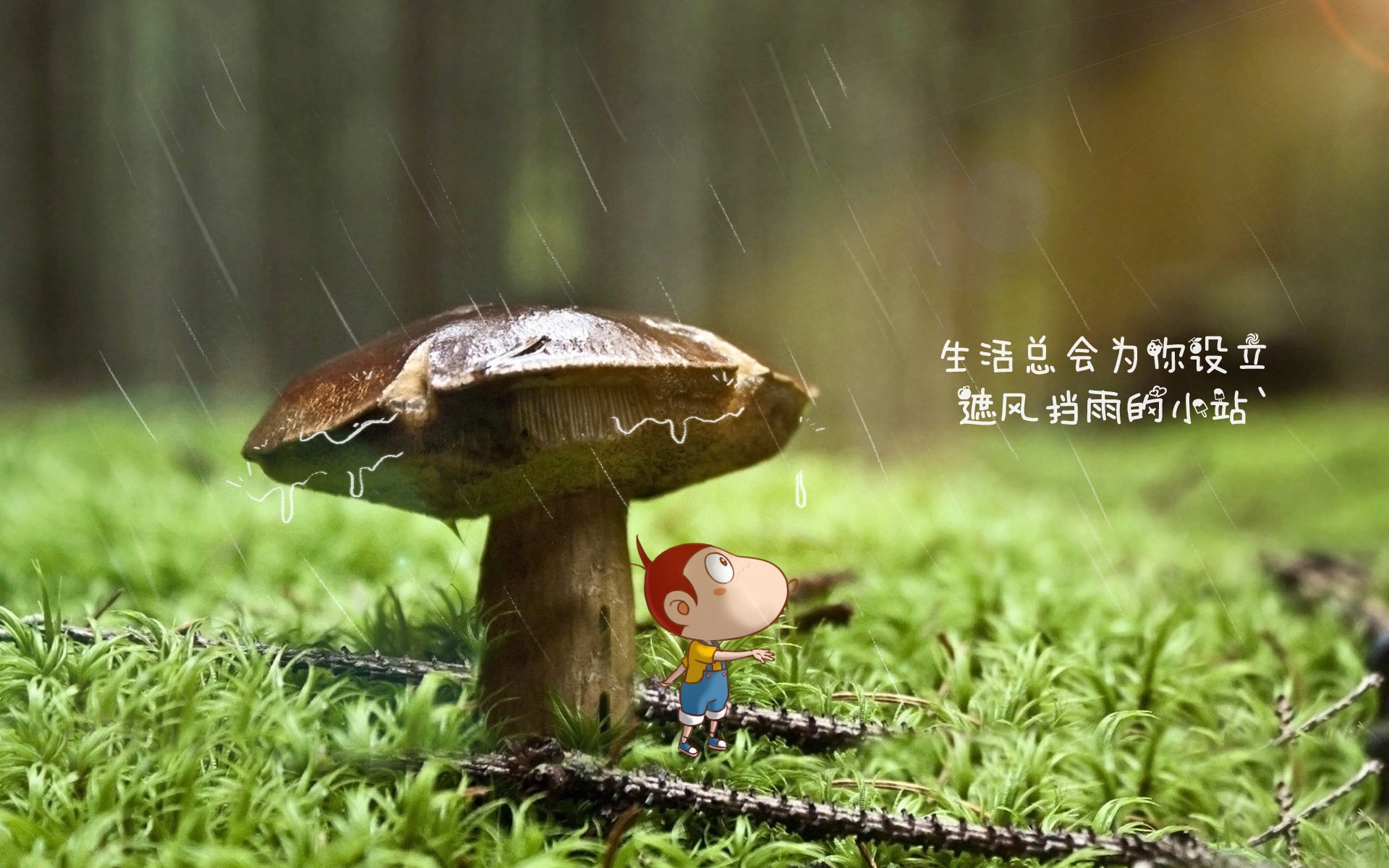 北欧冰锋破高卢,哈兰德定音,波兰中场铁幕锁死法兰西