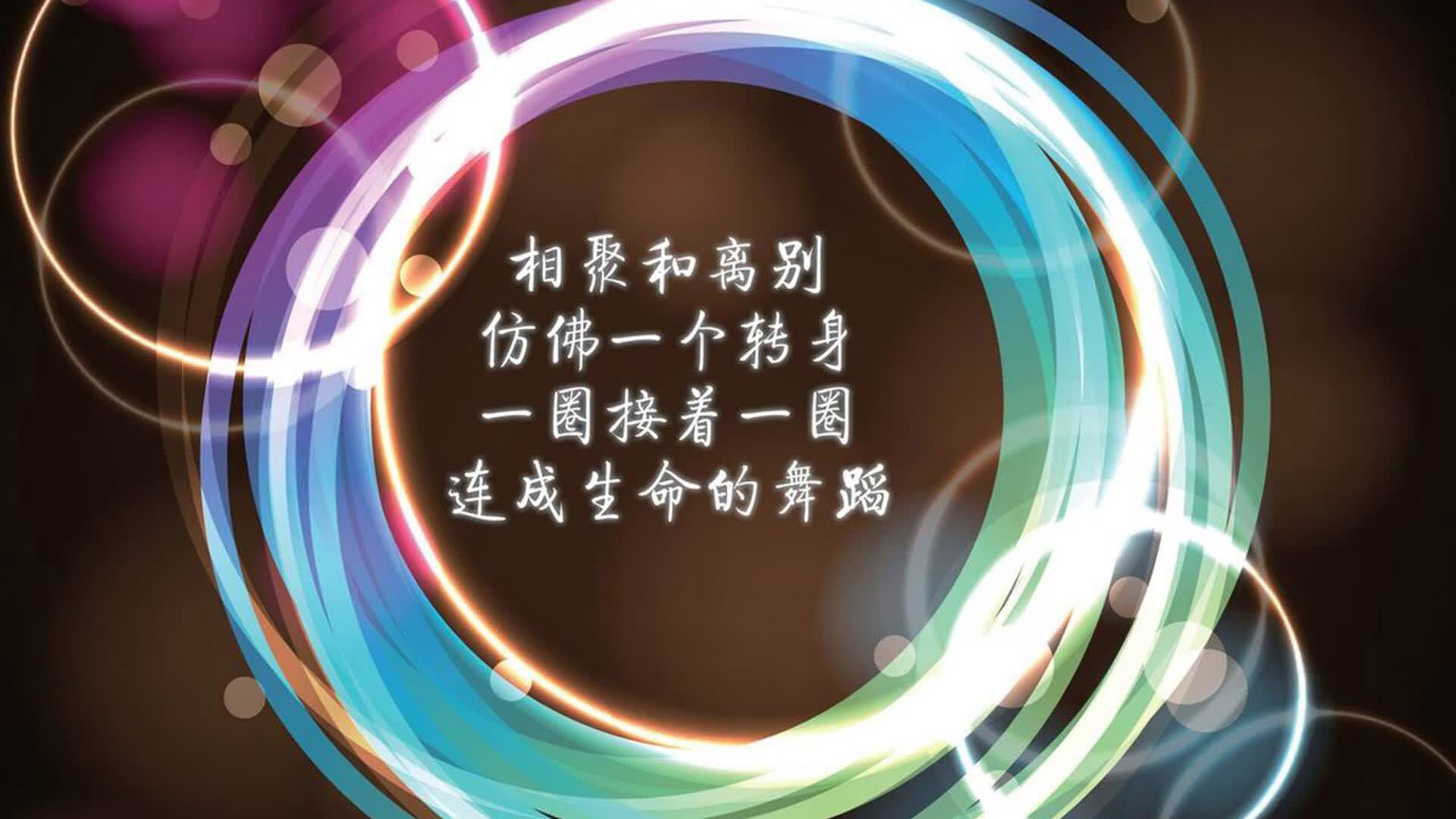 绝境中的璀璨,2026世界杯D组强强对话,葡萄牙力克厄瓜多尔,福登闪耀全场,进攻犀利破解南美铁壁