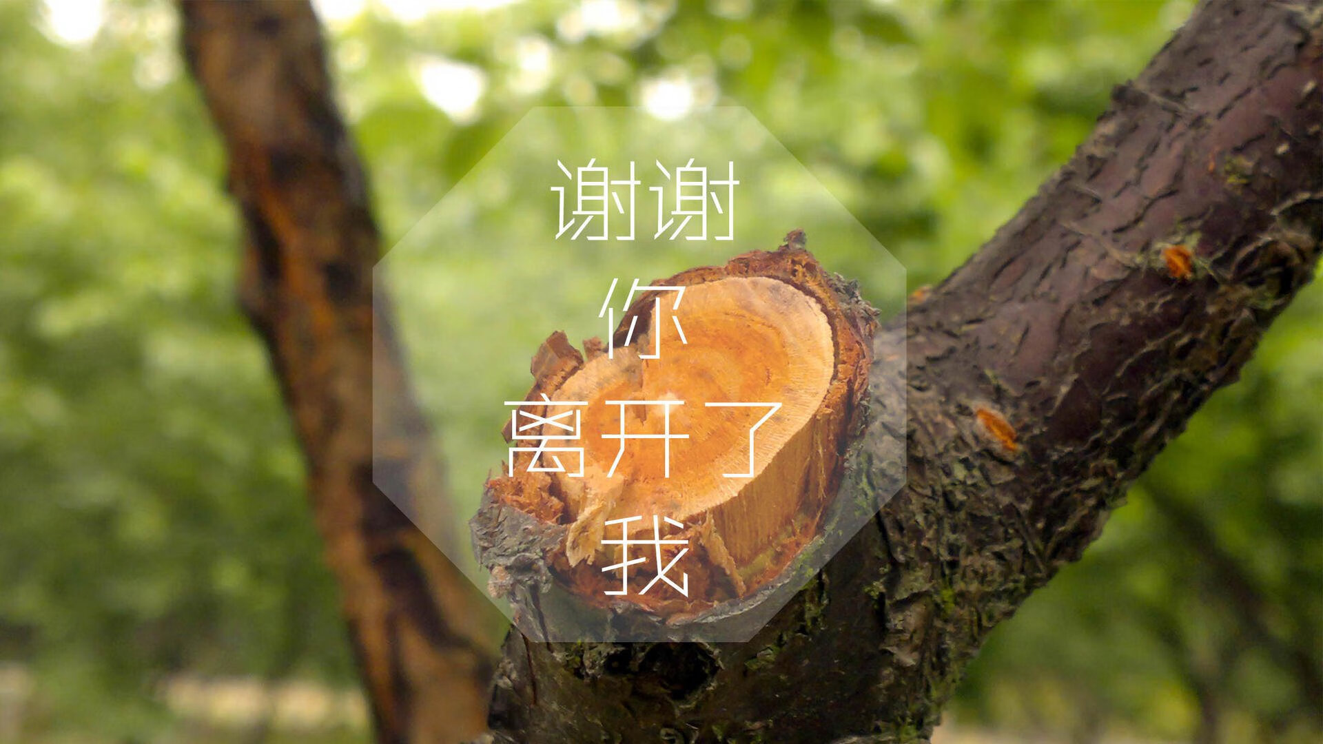 逆火重燃，2026世界杯A组，摩洛哥完胜罗马尼亚，吉鲁以一己之力书写逆转传奇