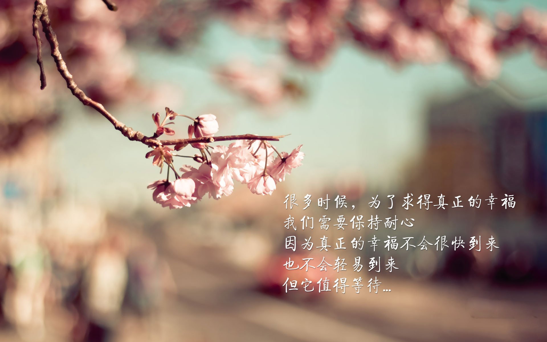 柏林之夜的孤星，福登与德意志的宿命绝唱