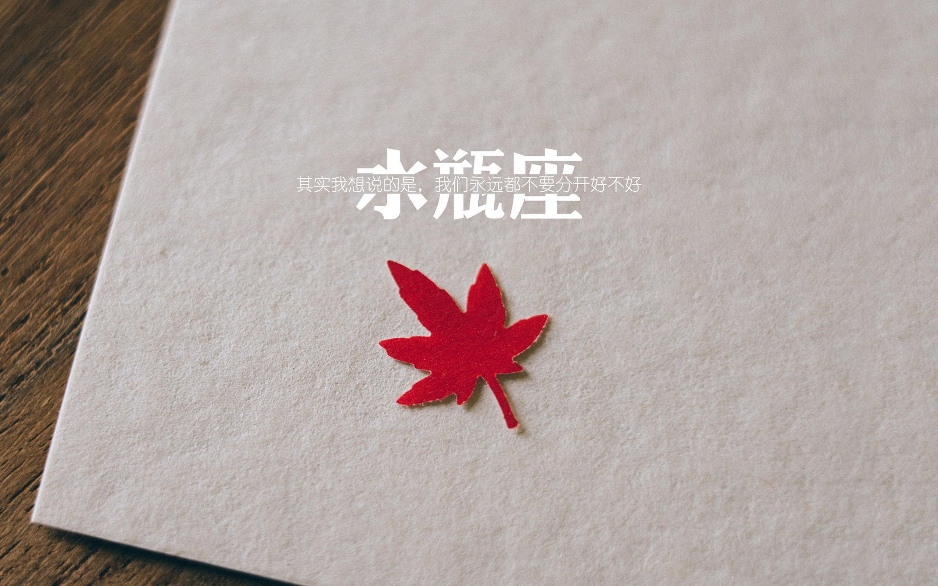 赤道之盾与非洲雄狮，美加墨世界杯焦点战中，维尼修斯点亮中场胜负手