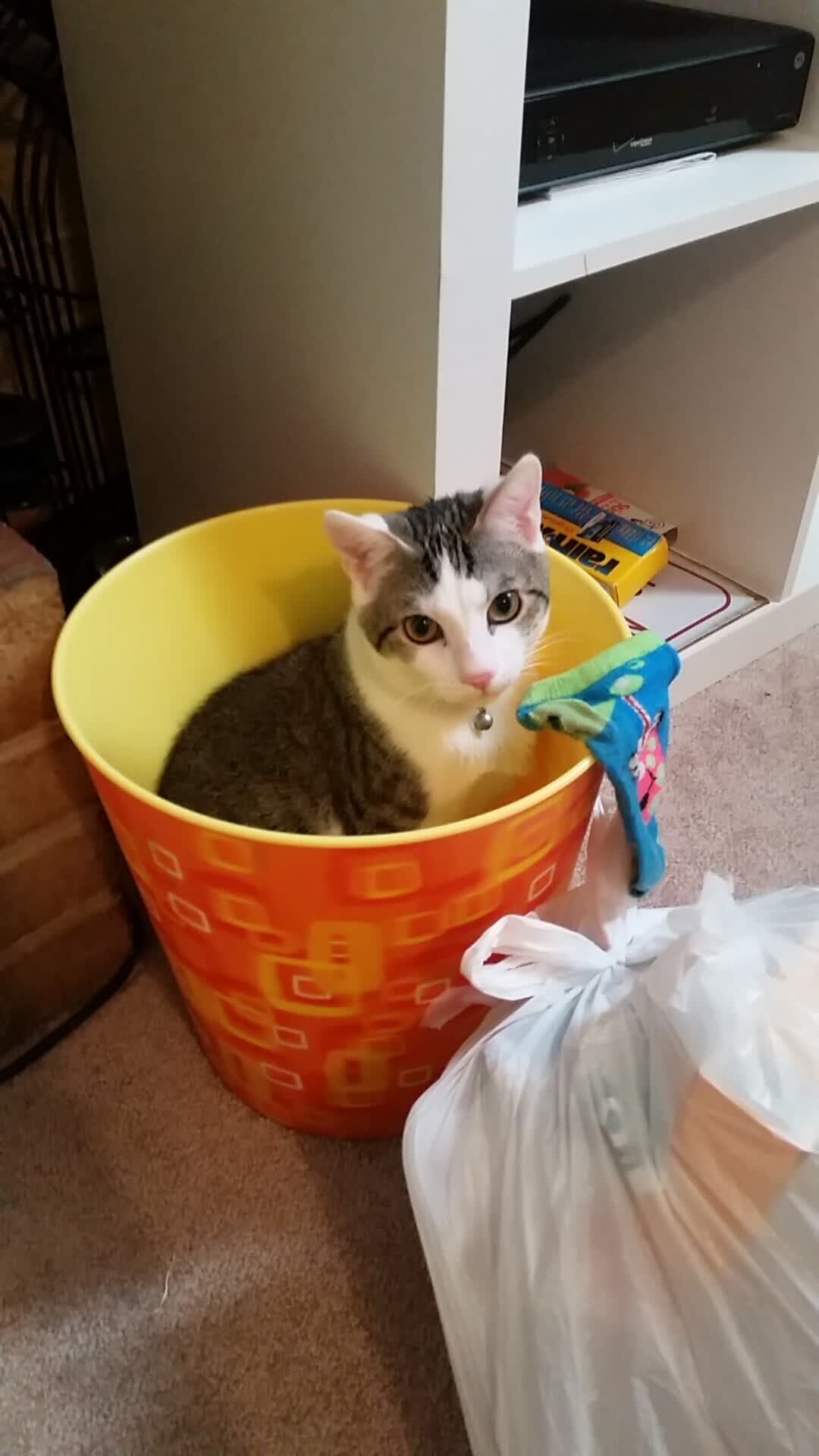孤星闪耀，当罗马尼亚在D组写下不可能的诗篇，登贝莱用双脚定义唯一